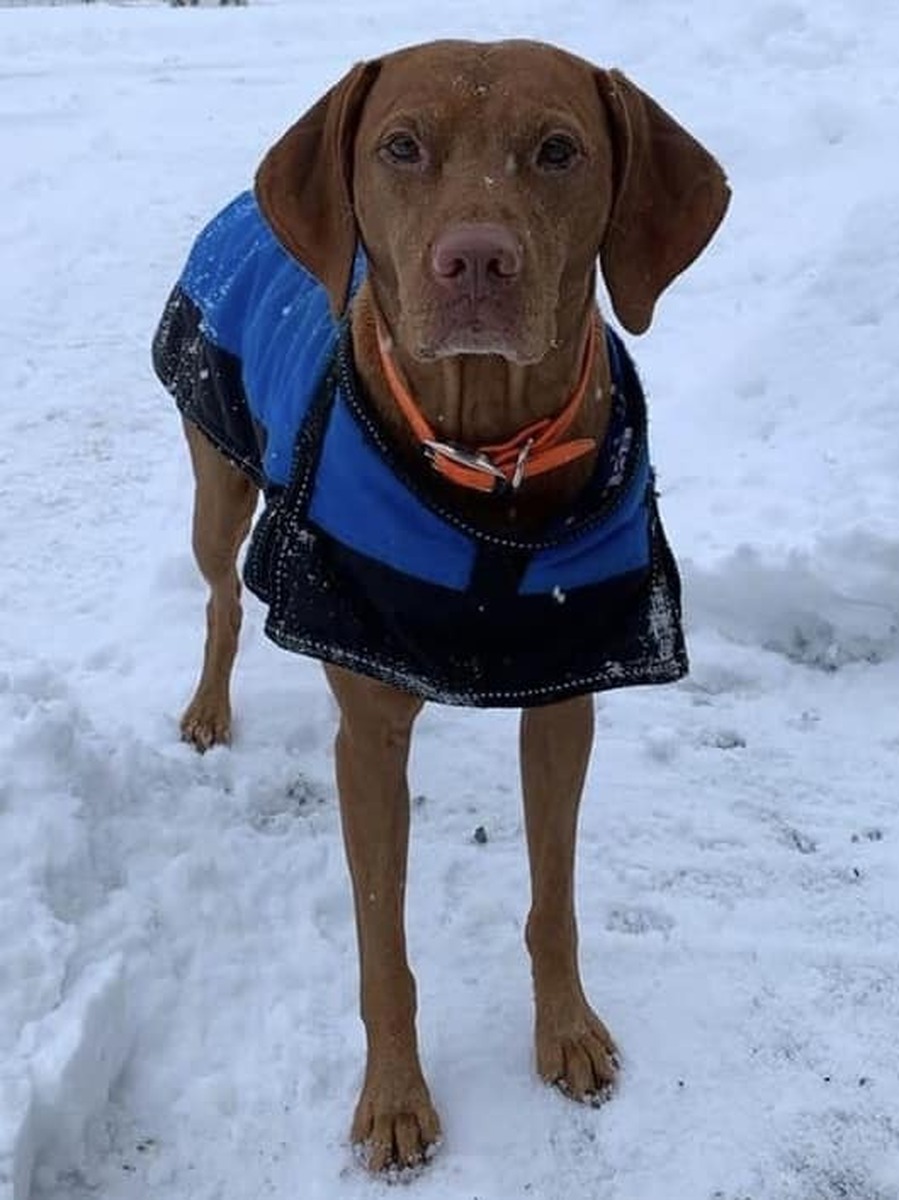 Sokoldalu's Total Teammate Shotgun Willie O'Tierah