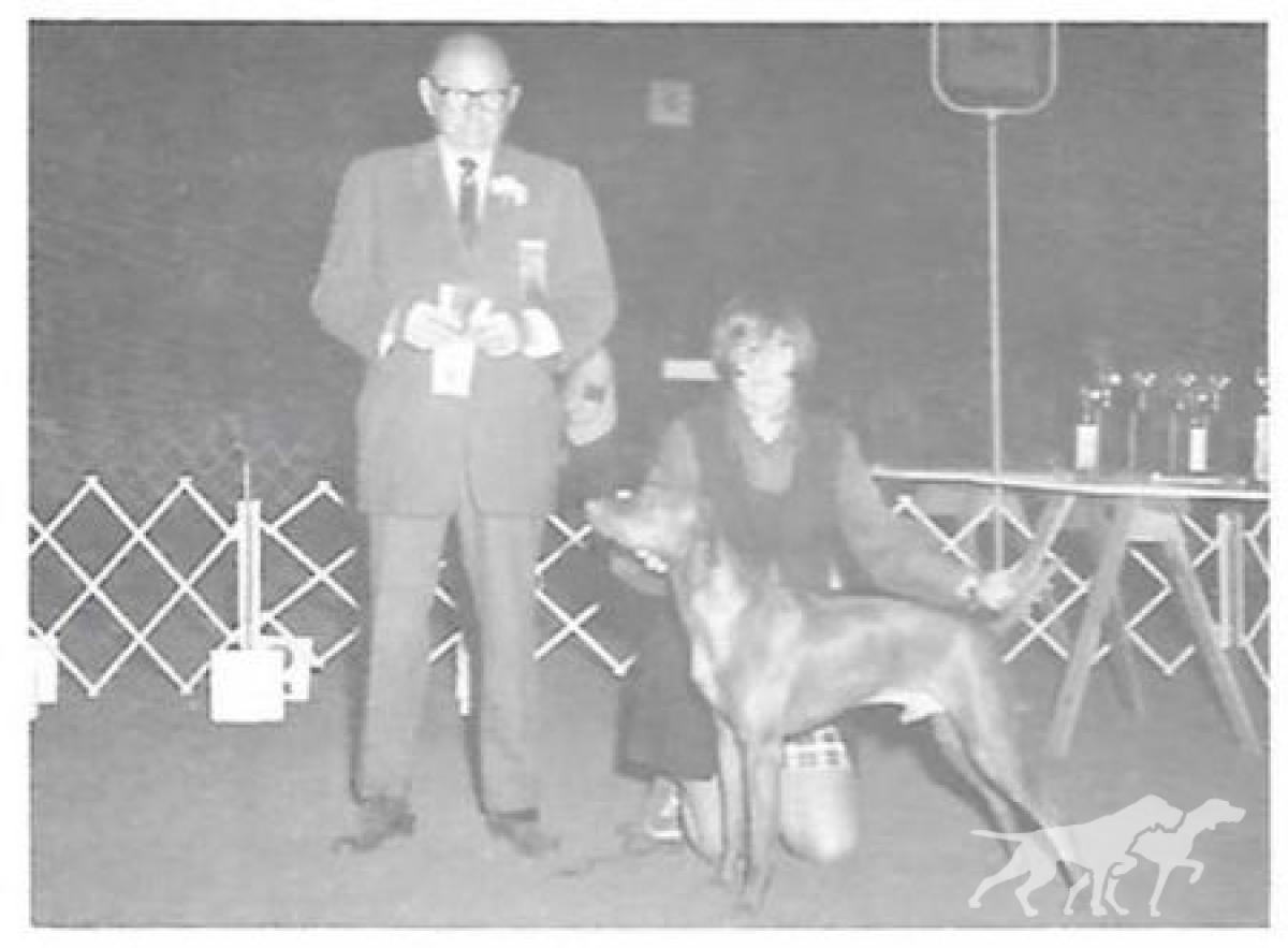 Baron von Vizsla