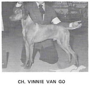 Vinnie Van Go