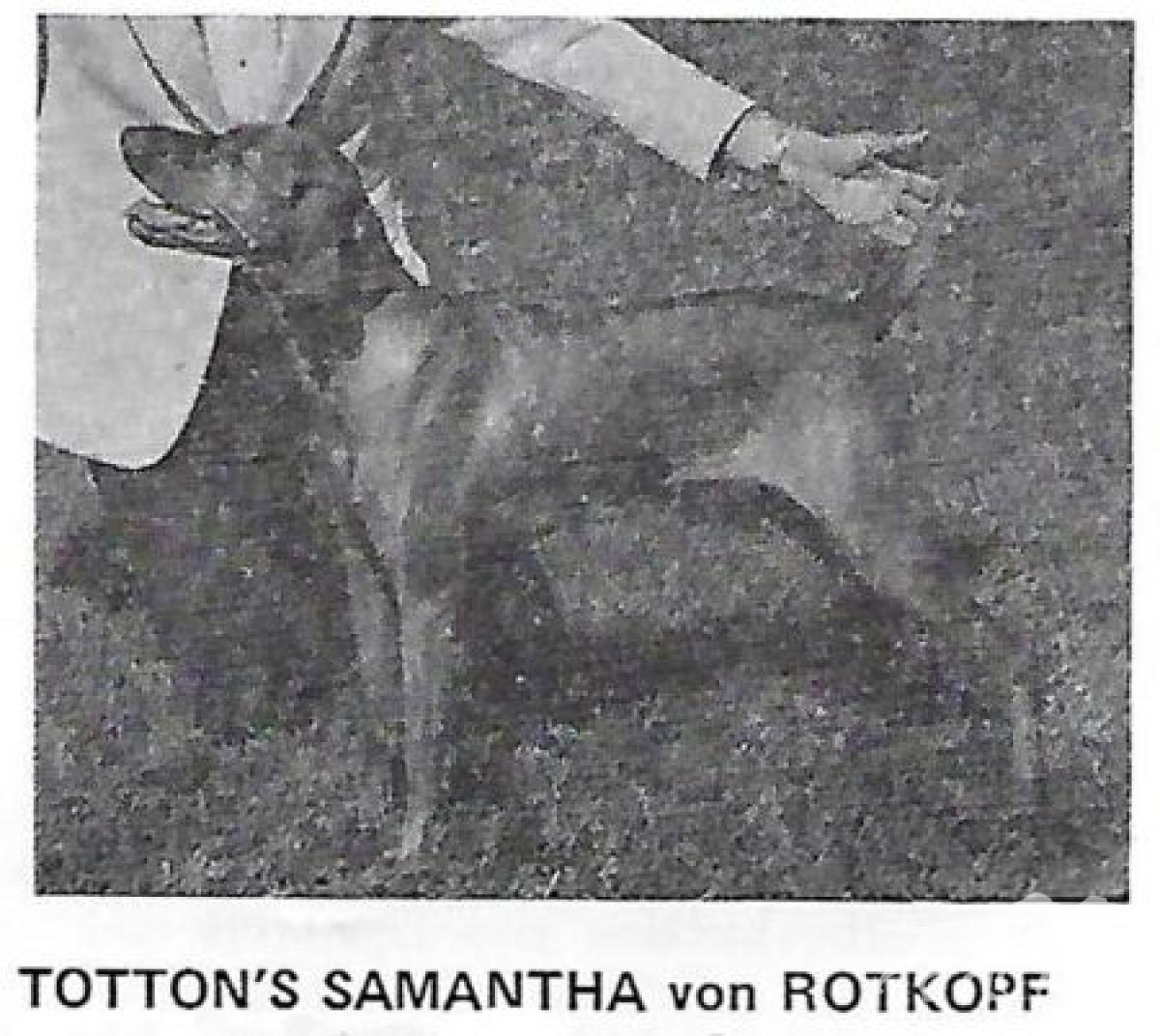 Totton's Samantha von Rotkopf