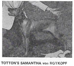 Totton's Samantha von Rotkopf