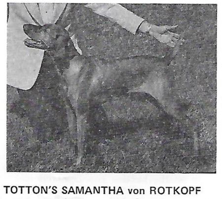 Totton's Samantha von Rotkopf