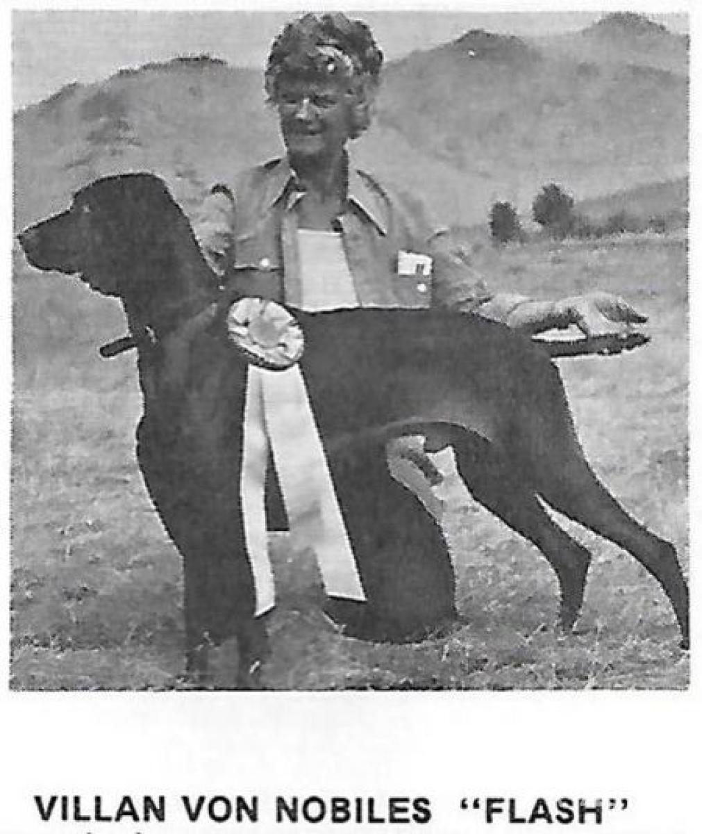 Villan van Nobilis