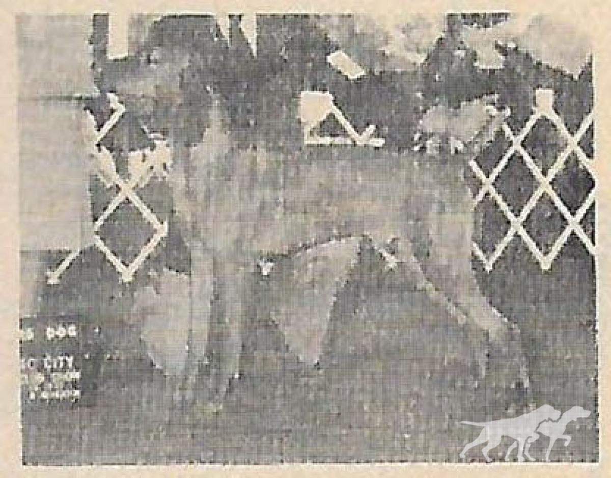 Mehagian's Miklos Rex