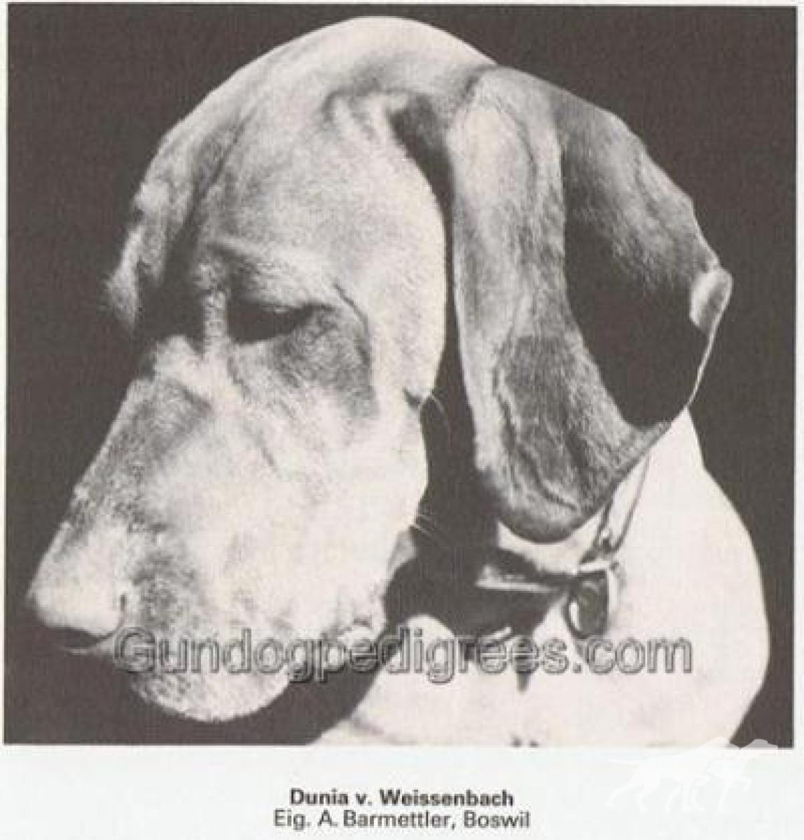 Dunya vom Weissenbach (1978)