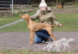 Endless Love Coco Lotte