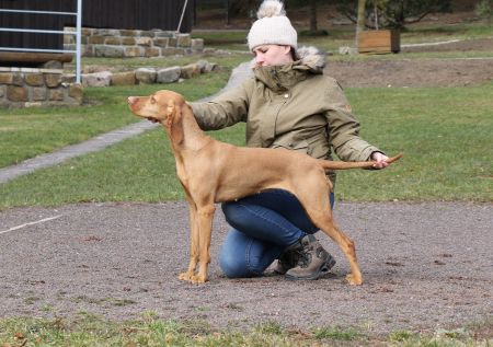Endless Love Coco Lotte