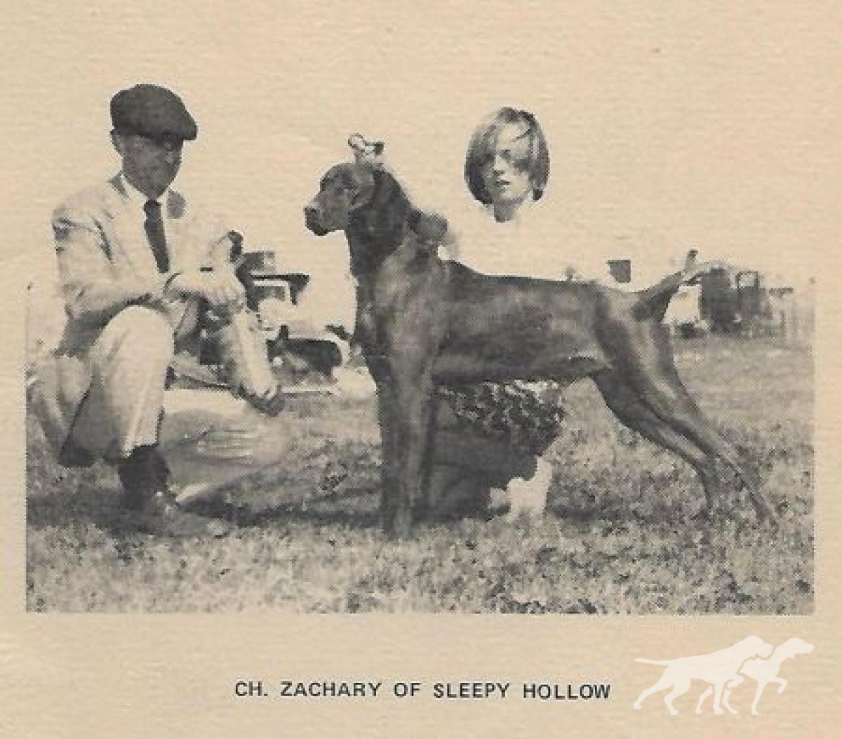 Zachary Of Sleepy Hollow