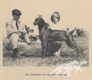 Zachary Of Sleepy Hollow