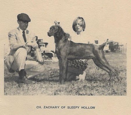 Zachary Of Sleepy Hollow