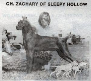 Zachary Of Sleepy Hollow