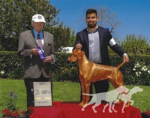 Riverside's Reach for the Stars At Eveningstar
