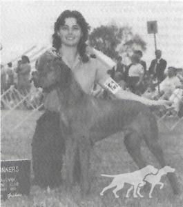 Brance's Valiant Pegasus