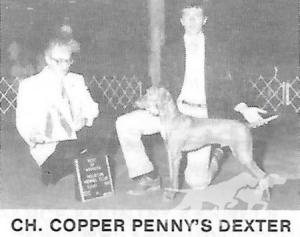 Copper Pennys Dexter