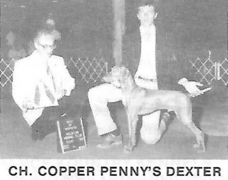 Copper Pennys Dexter