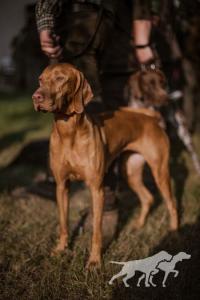 Bonie Gorgeous Diamond