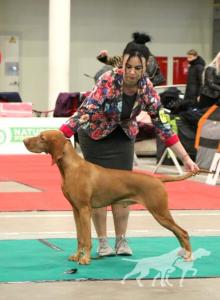 Disco Diamond Bellalotte Cane