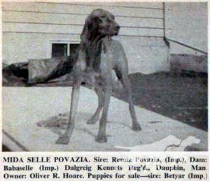 Mida Selle Povazia