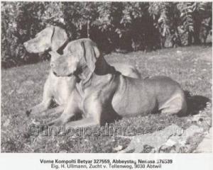 Abbeystag Nerissa