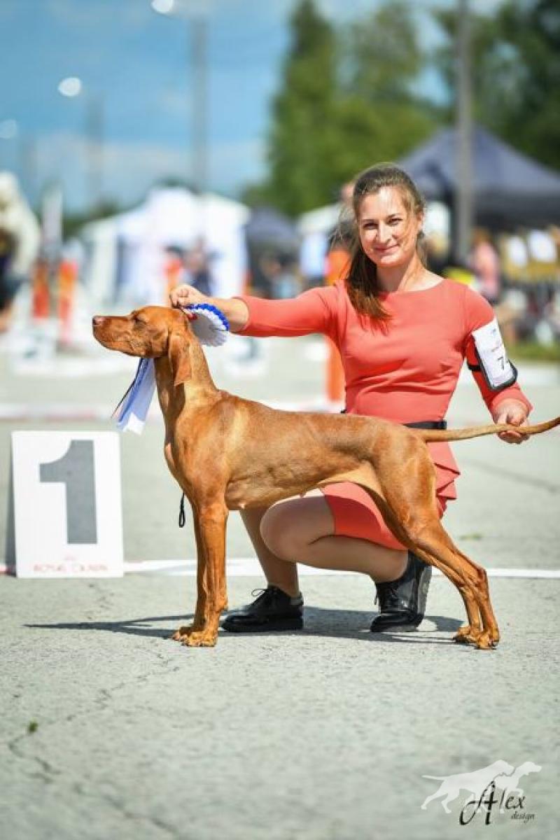 Saldozo Prieks Princese Pepilotta