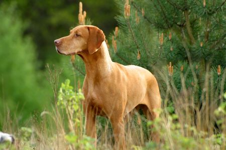 Aidosja Aduna Lucky