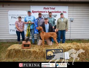 Southwind's Bully For Green Fire