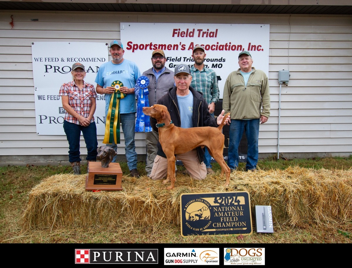 Southwind's Bully For Green Fire