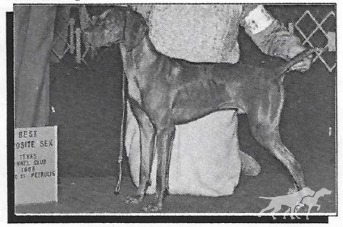 Gemini's Bentley of Sandyacre
