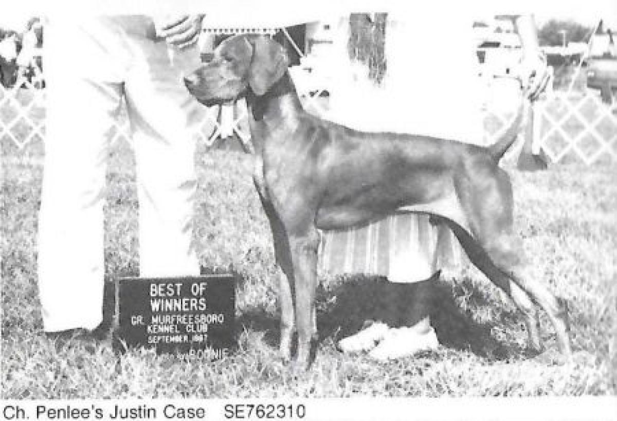 Penlee's Justin Case