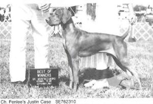 Penlee's Justin Case