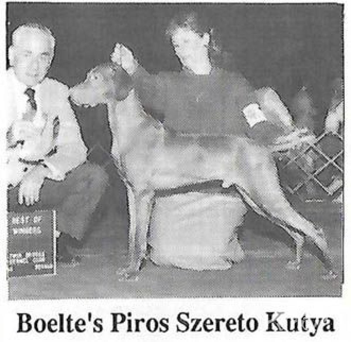 Boelte's Piros Szereto Kutya