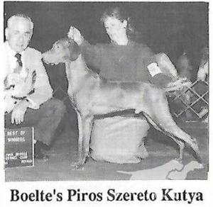Boelte's Piros Szereto Kutya