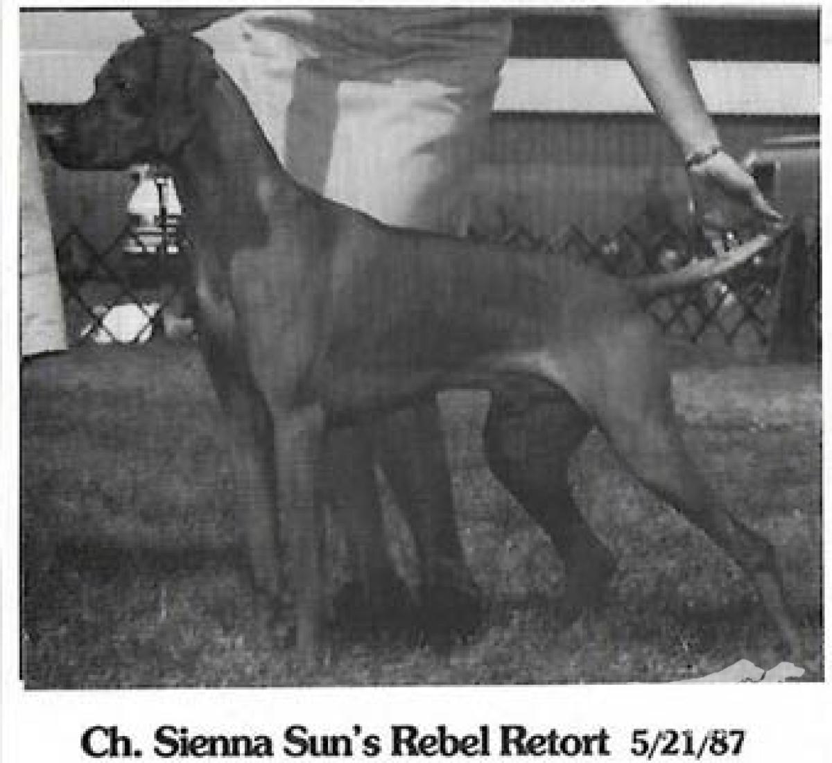 Sienna Sun's Rebel Retort