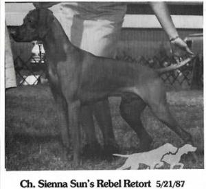 Sienna Sun's Rebel Retort