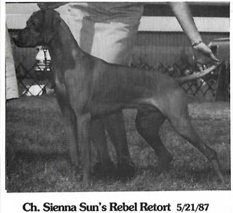 Sienna Sun's Rebel Retort
