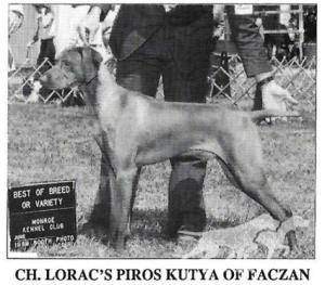 Loracs Piros Kutya Of Faczan