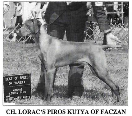 Loracs Piros Kutya Of Faczan