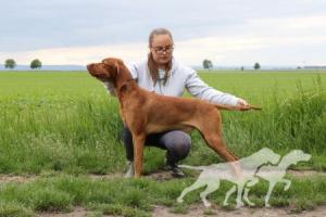 Feketicsi-Vadász Jojo Lotte