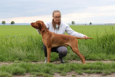 Feketicsi-Vadász Jojo Lotte