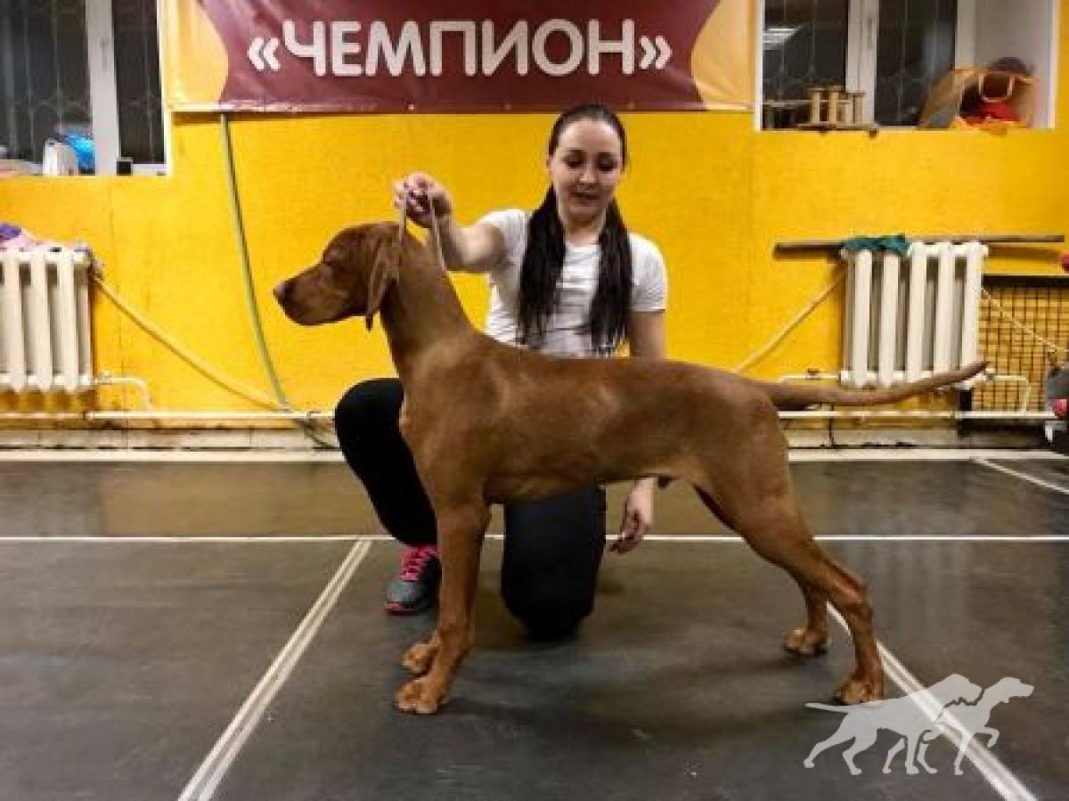 Ambravittoriya Eger Zeus