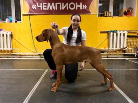 Ambravittoriya Eger Zeus
