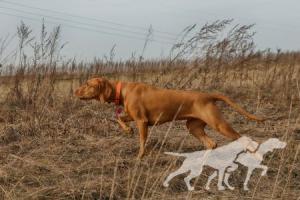 Runa Rusty Sparks
