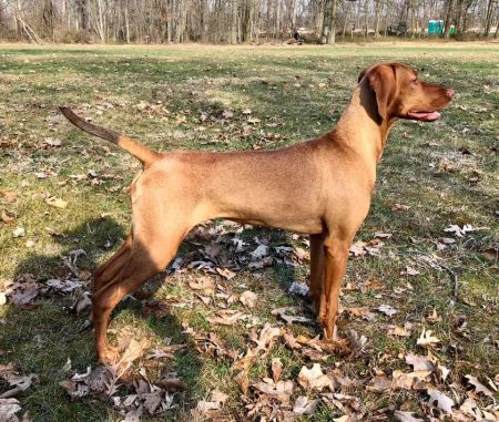 Rhapsody N' Karajen Ooh La La