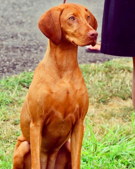 Kelby Creek's Sol de Oro