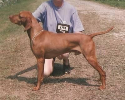 Gardenway Master Mariner