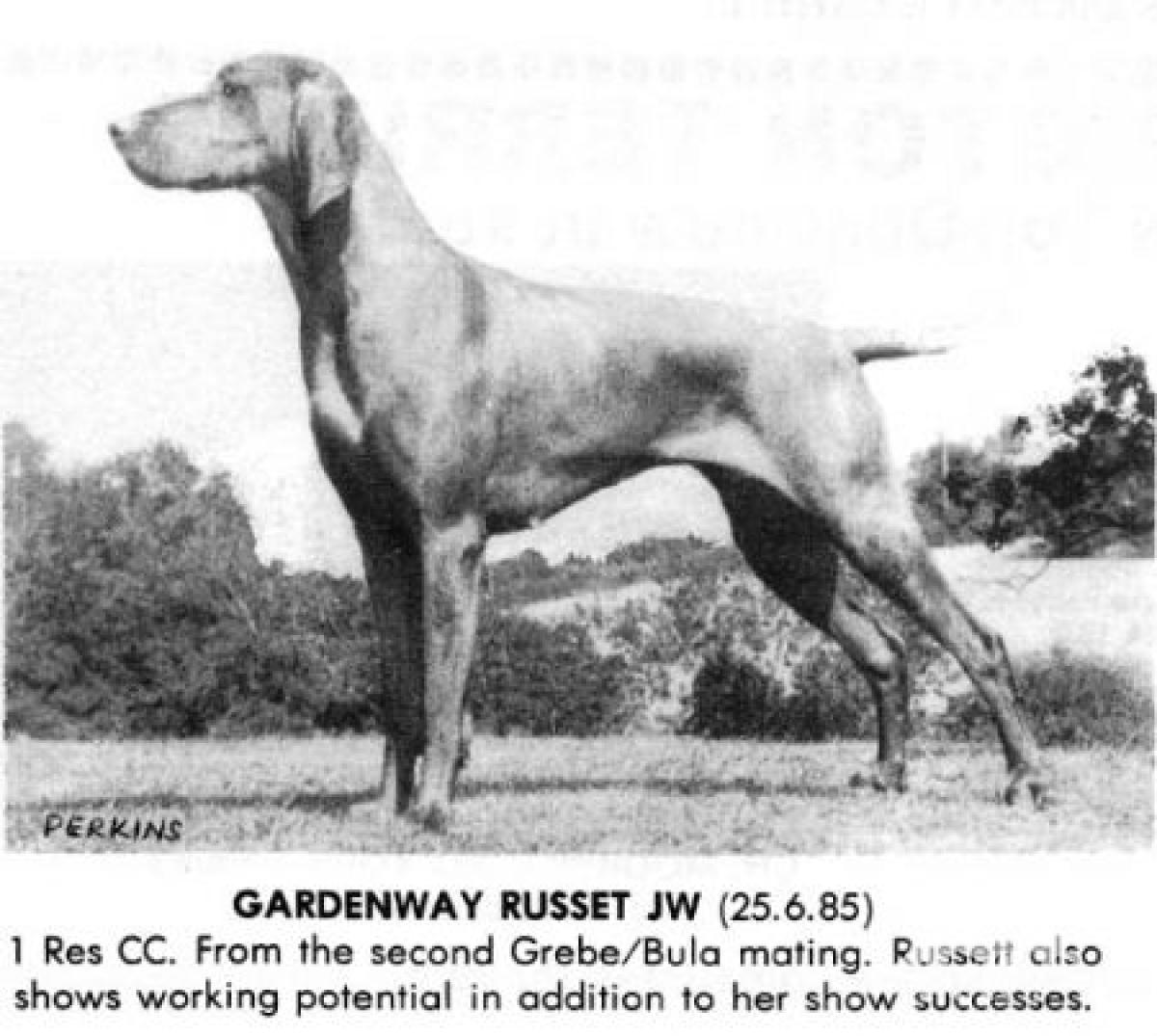 Gardenway Russet