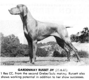 Gardenway Russet
