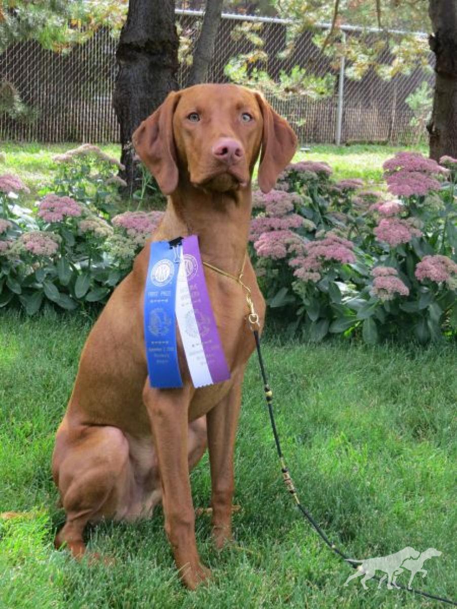 Sequoia Reds Star Mueller's Woody