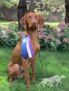 Sequoia Reds Star Mueller's Woody
