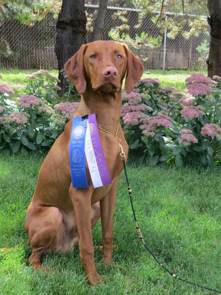 Sequoia Reds Star Mueller's Woody
